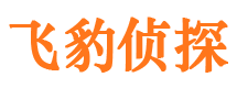 额敏侦探